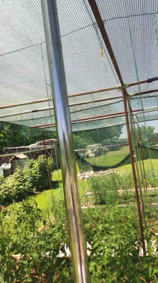 Затеняющая сетка