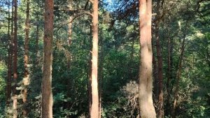 Немного о финансовой грамотности