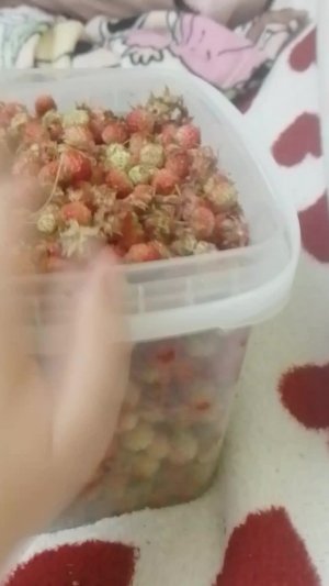Хз