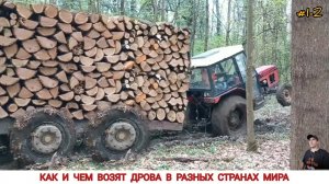 КАК И ЧЕМ ВОЗЯТ ДРОВА В РАЗНЫХ СТРАНАХ МИРА #1-2 / TRANSPORTATION OF FIREWOOD IN DIFFERENT COUNTRIES