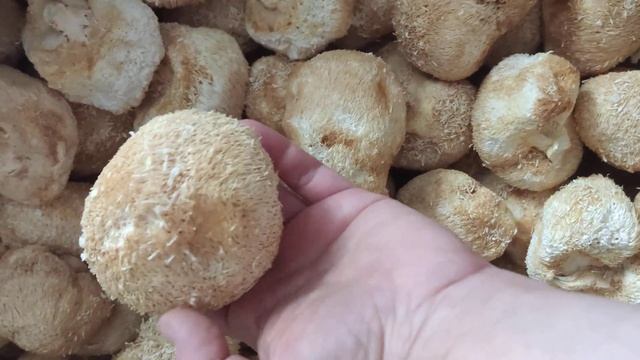 19 июля 2023 г. смотреть онлайн