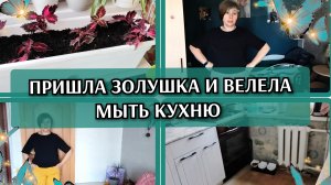 26-06-2026 Колеусы вместо виол🪴Доставка из Магнита🛒 Уборка🧹 Покупки с ВБ и Озона👍Комментарии❤️