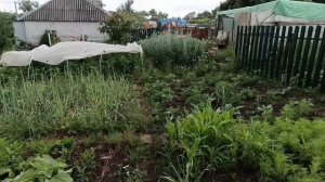 В гостях у сельской пенсионерки. Как можно жить в деревне бюджетно.