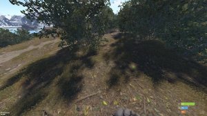 СОЛО СТАРТ В RUST