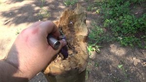 ✅ СПЕЦПРОЕКТ НА ПРОЧНОСТЬ! 😂 Топ мегамощных петард+Трухлявое бревно! 💥 Мощная петарда против пней!
