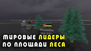Мировые лидеры по площади леса