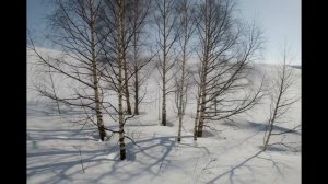Палеолит