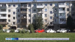 Боится нарушить закон кемеровчанин, который хочет избавиться от дерева под окном
