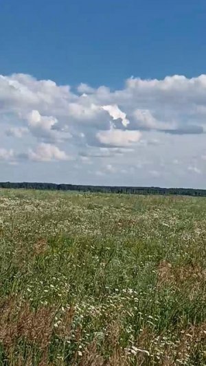 26 июня 2026, самое стандартное лето более чем за 2 десятка лет