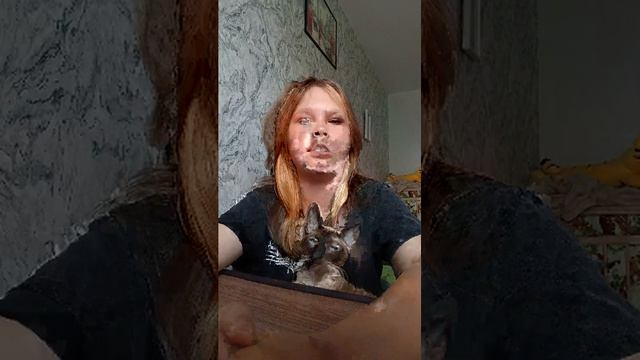 доброе утро смотреть онлайн