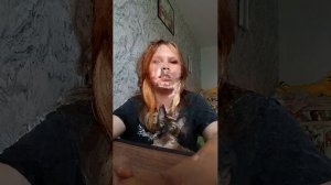 доброе утро