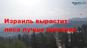 Враги сожгли леса в Израиле. Мы вырастим еще более лучшие. Израиль будет иметь все для счастья