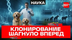 Россиянам предложили услугу по клонированию домашних животных