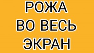 Дачное угодье ОЛАШКИ- это трэш!