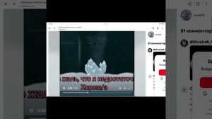 утерянные файлы котов-воителей