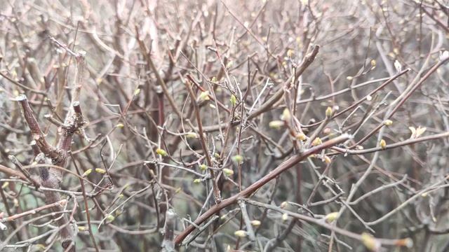 Один из дней города Евпатории | 7 марта 2022 год | Крым ХАН БАТОН XAH 6ATOH | VID_20220307_162522