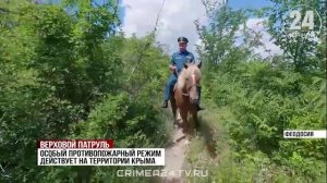 Особый противопожарный режим действует на полуострове: Что нужно знать, чтобы не получить штраф?