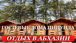 2026. ПИЦУНДА. ОТДЫХ в Абхазии. СОСНЫ и море. КОМФОРТНЫЙ отдых в эко домиках в Абхазии