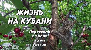 1168 Жизнь после переезда с Урала на юг/Работы в южном саду