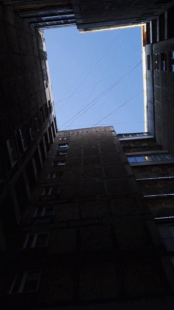 🏢🏢🍃