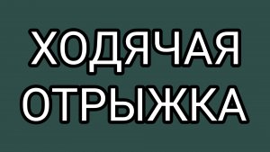 Штатный писарь  ЗАСЦАНЯ
