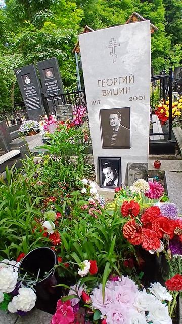 Могила Г.Вицина