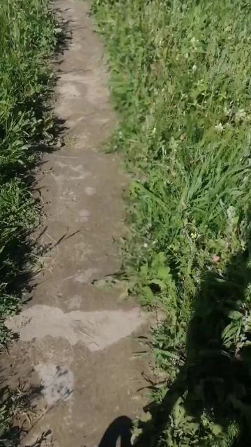 Подпишись