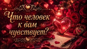 Что чувствует к вам человек? Гадание пасьянс Tarot на отношения