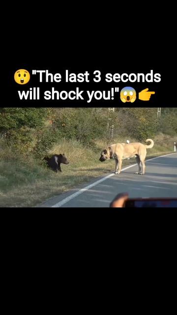 💥_Последние 3 секунды вас шокируют!_ 👉😱
