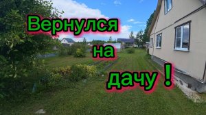 Заканчиваю дела в Москве и на дачу! Что с бензином ?:День покоса! 26-06-2026