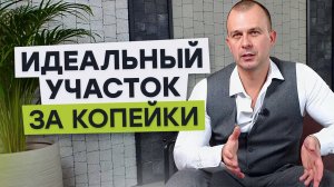 Как ОБЛАГОРОДИТЬ УЧАСТОК за МИНИМАЛЬНЫЙ БЮДЖЕТ без потери качества в 2025 - 2026 году