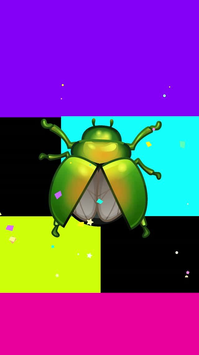 жук