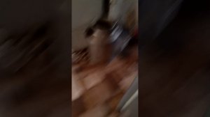 Селятино приключения Ромы и Маши 13 серия утя новости 3 для взрослых и детей