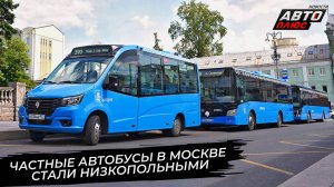 Частные автобусы в Москве стали низкопольными 📺 Новости с колёс №3785