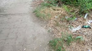 Новый анекдот