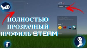 КАК СДЕЛАТЬ ПРОЗРАЧНЫЙ ПРОФИЛЬ В СТИМЕ STEAM