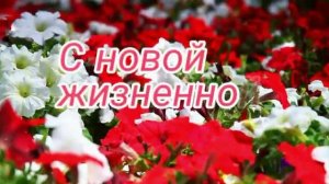 Аттестат в кармане - Иван Ведерников