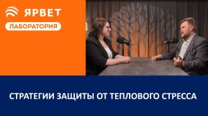 Стратегии защиты от теплового стресса | Подкаст для молочного животноводства