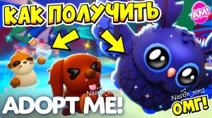 КАК ПОЛУЧИТЬ НОВЫХ ПИТОМЦЕВ НА 2 НЕДЕЛЕ ЛЕТНЕГО ЛАГЕРЯ В АДОПТ МИ?😱🌞НОВОЕ ОБНОВЛЕНИЕ!👀 ADOPT ME