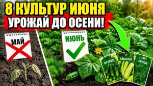 ОПОЗДАЛИ С ПОСЕВОМ ЭТИ 8 КУЛЬТУР В ИЮНЕ УДИВЯТ УРОЖАЕМ!