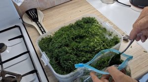 Укроп заморозился отлично.Раскладываю по пакетам.