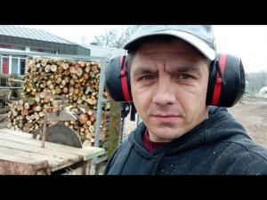 Германия. Ферма. Колем дрова. Застряли на тракторе на пастбище