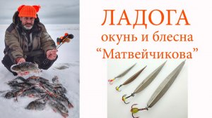Ладога. Окунь. Блесна Матвейчикова