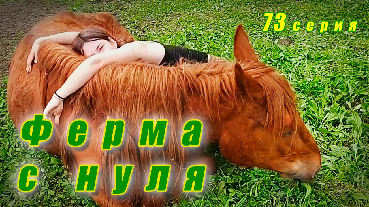 Прогулка с приключениями / Миссия 