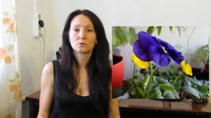 Цветы на балконе. Как правильно подобрать цветы для балкона.