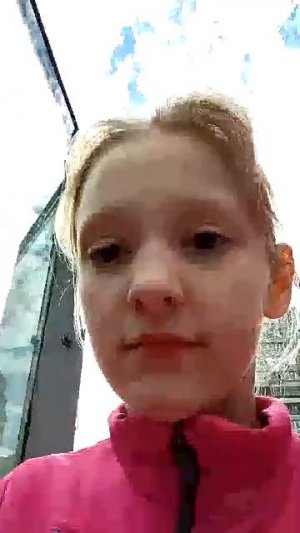 Тигр