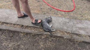 Расхламляемся/Дети приехали в гости(оригинал видео на Дзен)