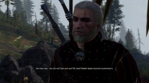 The Witcher 3 #зарезаловцу