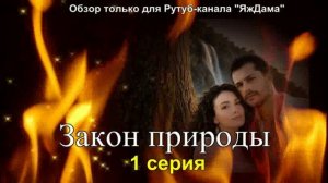Впечатления от 1 серии турецкого сериала «Закон природы»