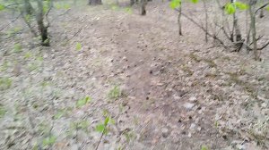 тропинки вдоль реки